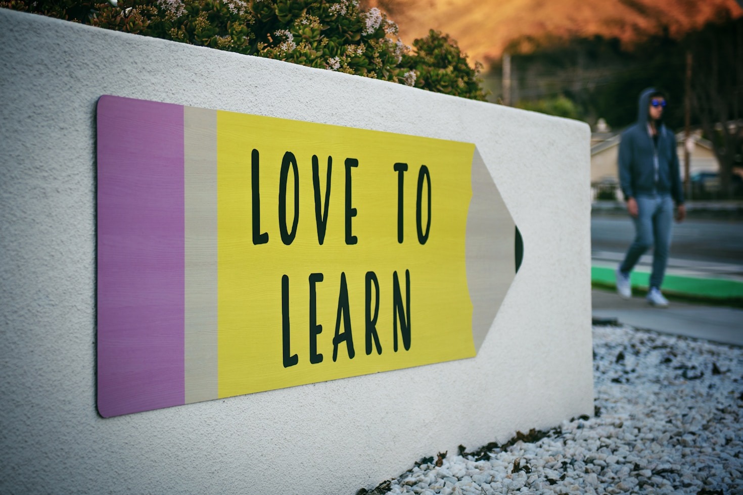 Expert Advice on Overcoming Language Learning Plateaus